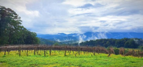 KiNam Vinea - A Vineyard Farmhouse in the Yarra Valley